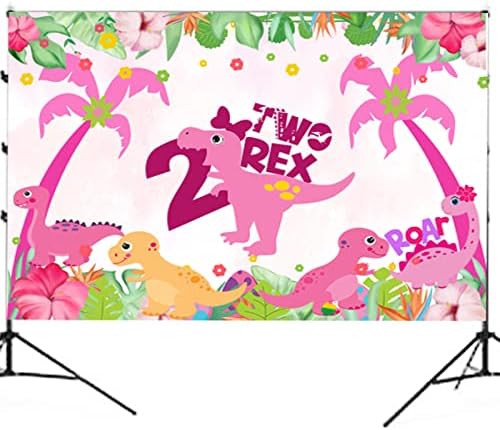 BEOXAGAR Rózsaszín Lány Dinoszauruszok Szülinapi Hátteret ,Két Rex Születésnapi Kellékek Lány Háttér,Rózsaszín