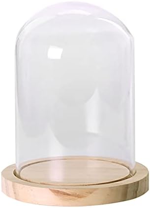 Weiping - Haza Dekoratív Átlátszó Üveg Cloche Bell Üveg vitrinben Rusztikus Fa Alap/Asztali Központi Kupola