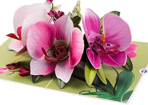 TRUANCE felugró üdvözlőlap Orchidea Virág - 3D-s Kártyák Születésnap, Évforduló, Anyák Napja, Köszönöm
