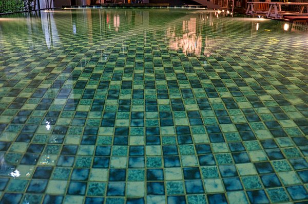 Hamac pour chats : guide d'achat pour allier confort et design