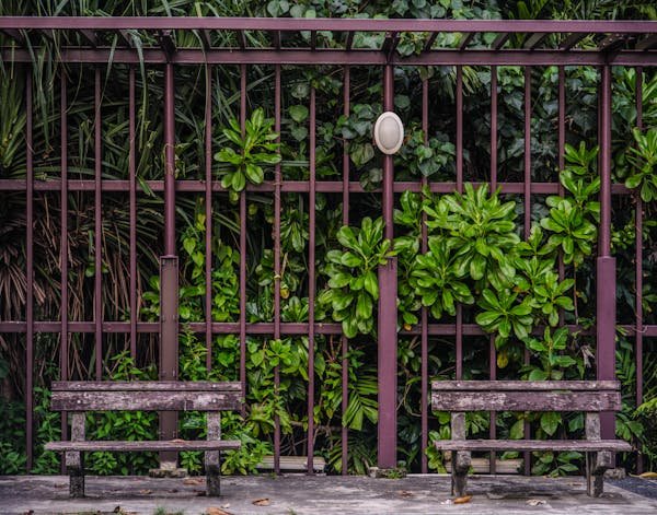 Occultant grillage rigide : choisissez le meilleur pour votre jardin